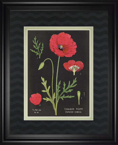 Poppies Chart by Sue Schlbach available on Wayfair