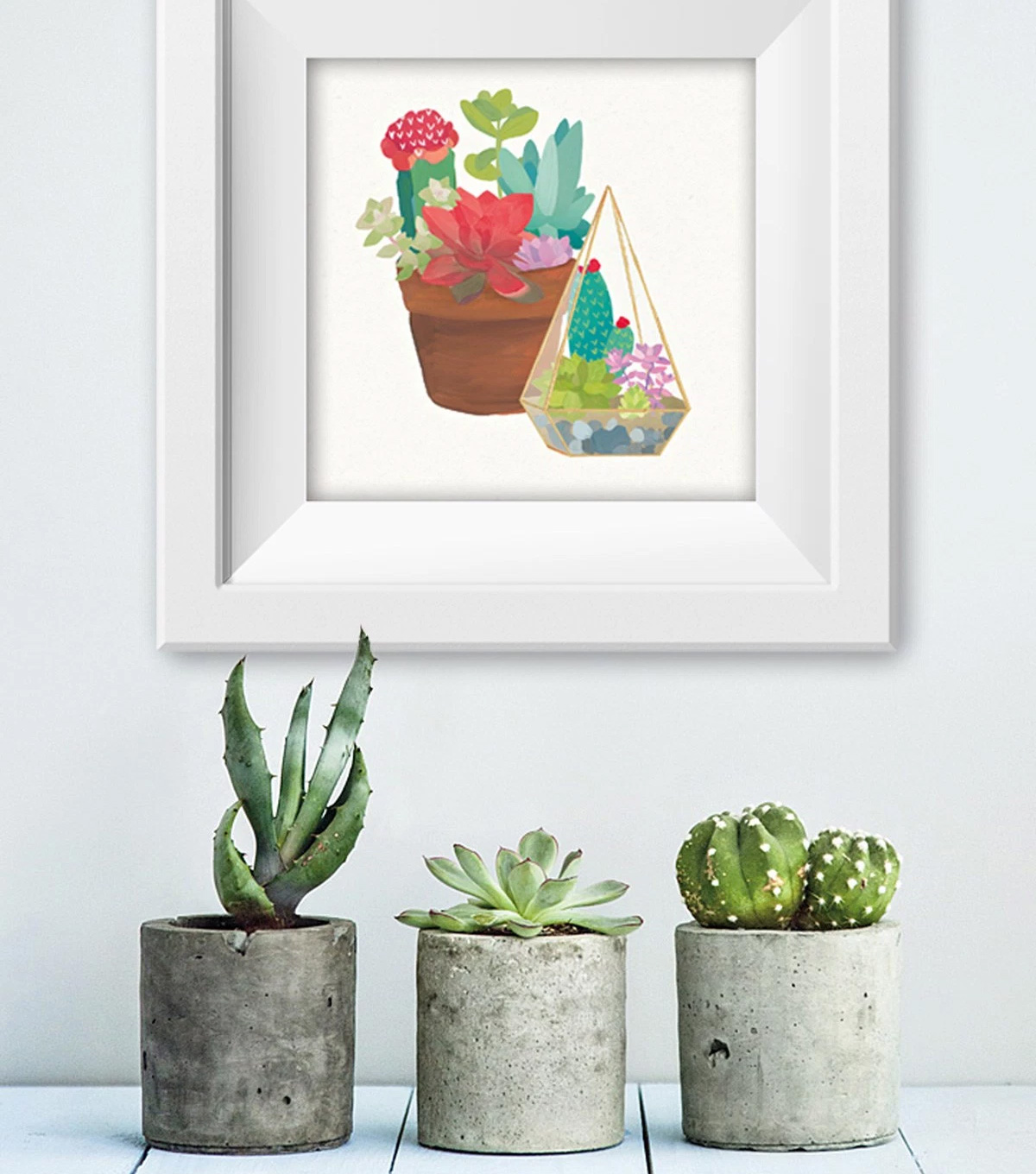 Succulents and Cacti Trending