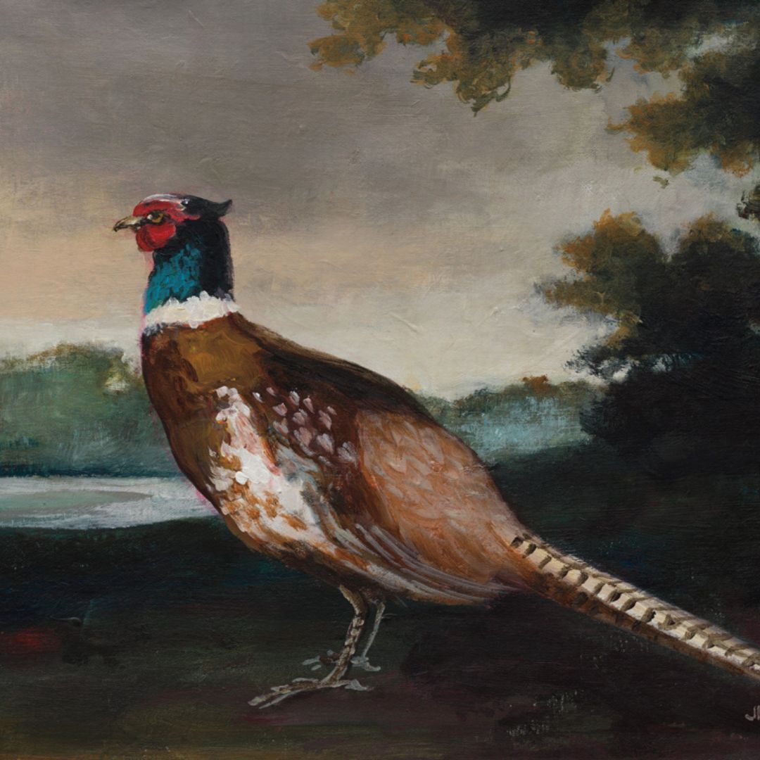 Pheasant art for sporstman Art licensing