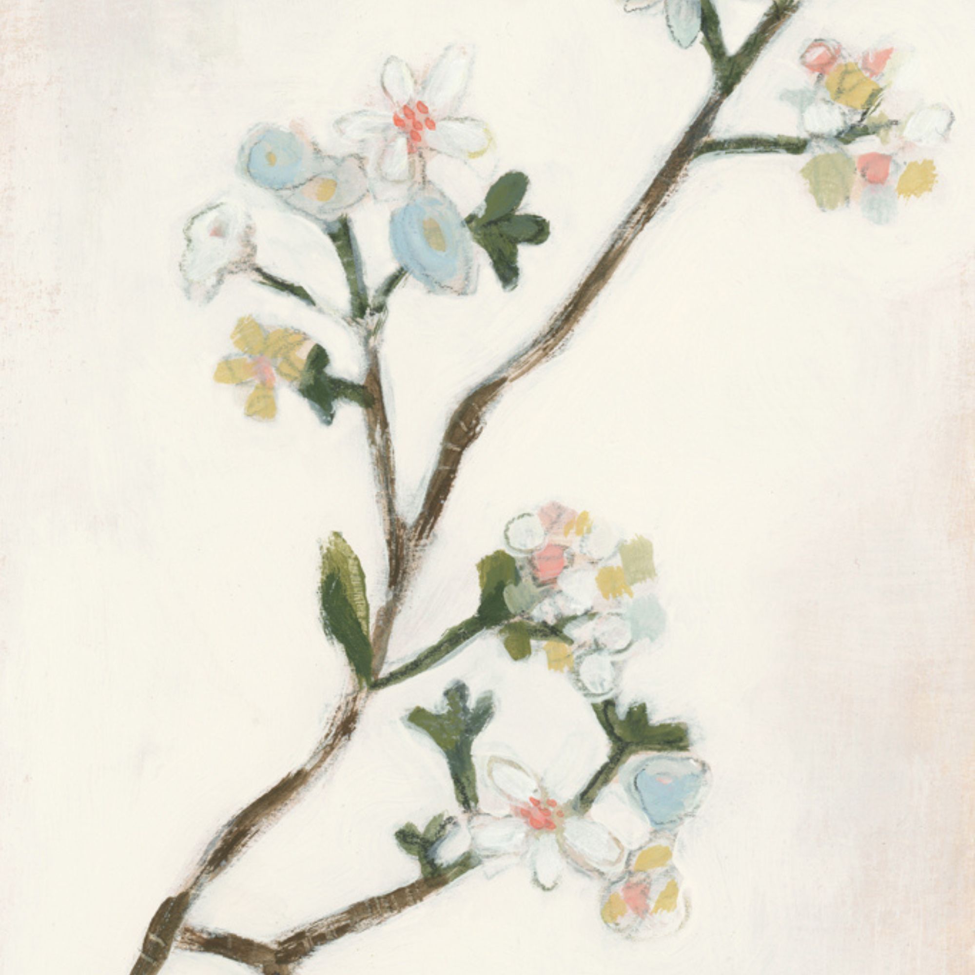 Botanical Art Licensing
