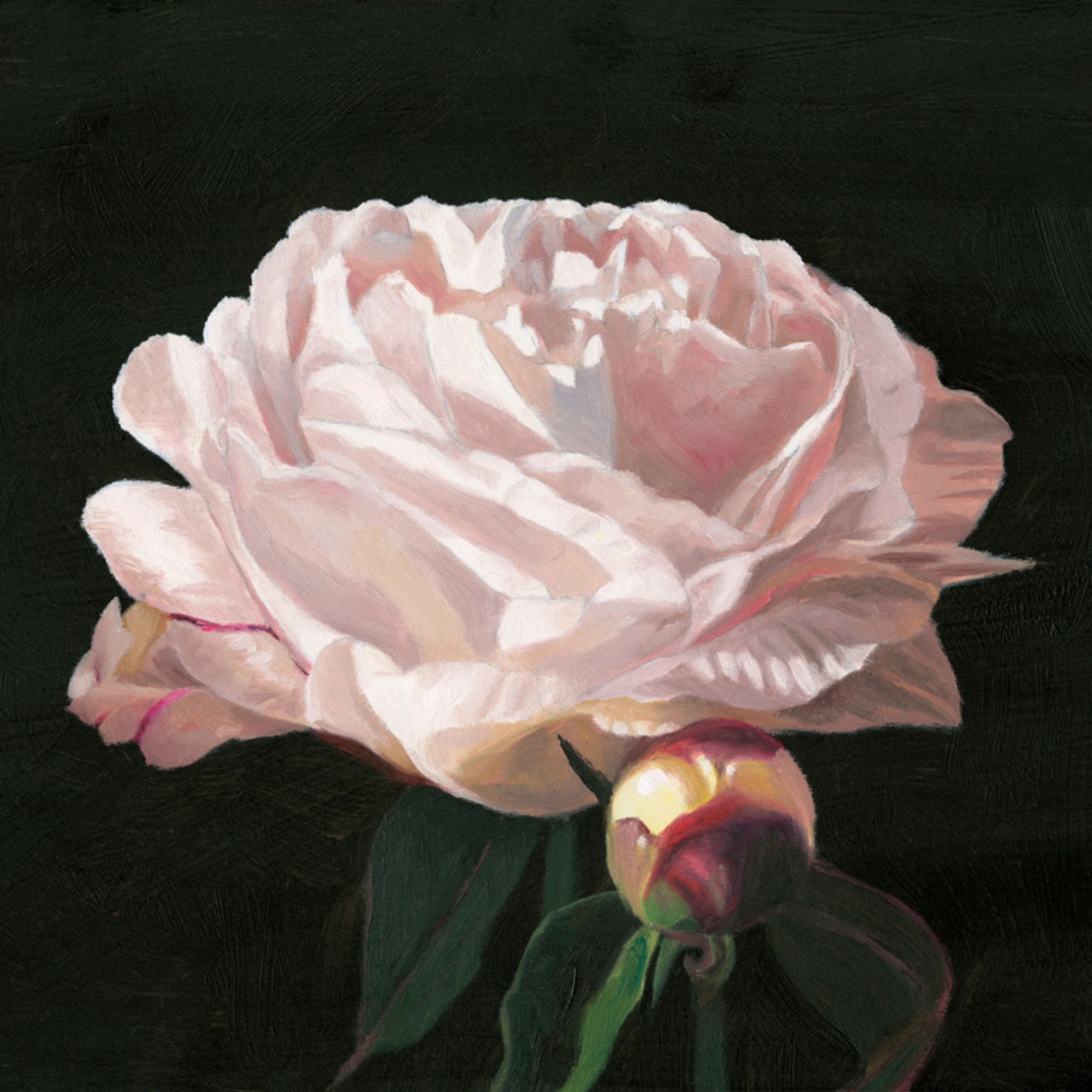 Floral Art Licensing